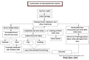 Flowchart of Inflammatory events