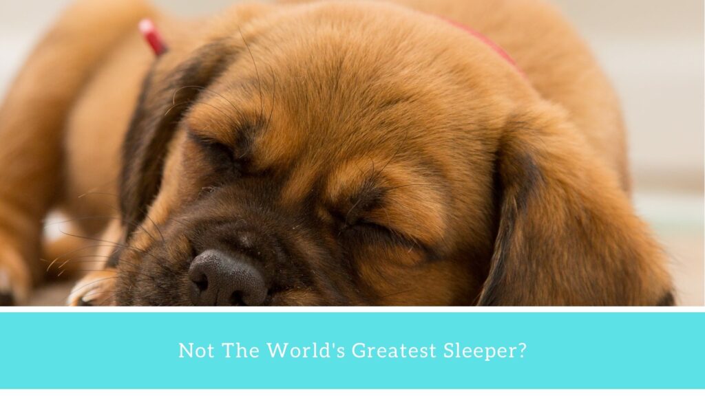 Not The World’s Greatest Sleeper