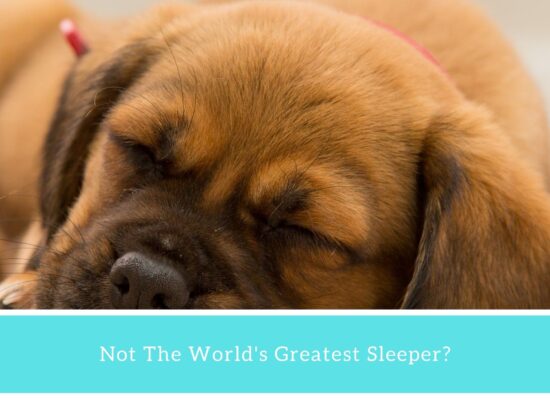 Not The World’s Greatest Sleeper