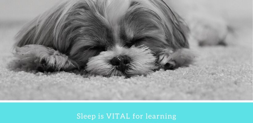 Sleep – The difference between acing an exam and failing Sleep – The difference between acing an exam and failing