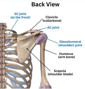 Shoulder Pain
