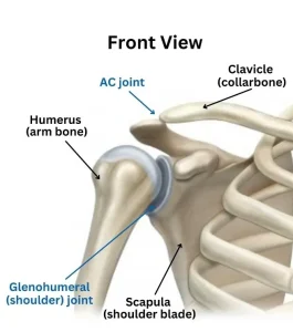 Shoulder Pain
