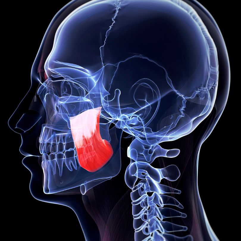 Orofacial Myology